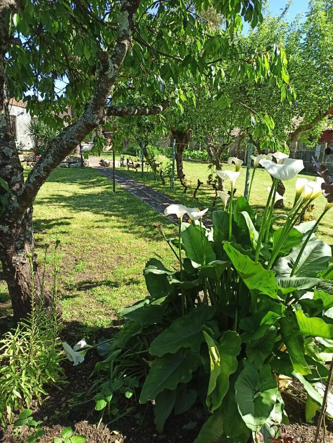 La Floiracaise Hotel Floirac  Ngoại thất bức ảnh